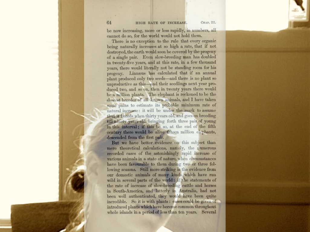 074