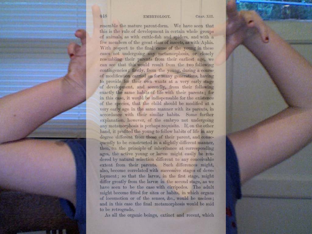 460