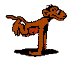 monkey5