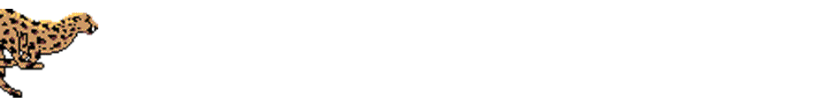 chettah
