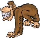 monkey3