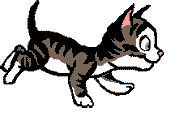 cat2