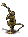 monkey4