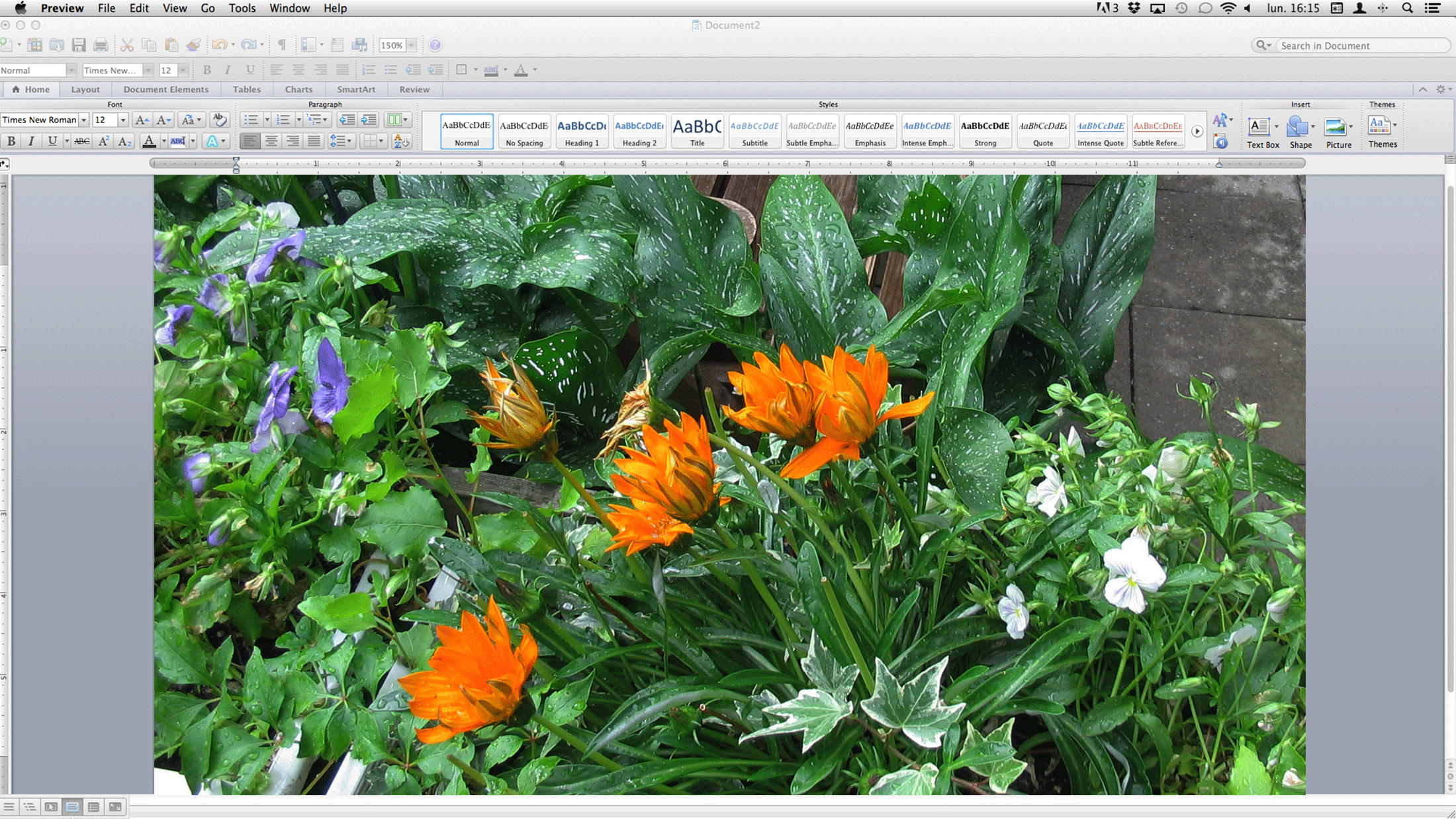 plants